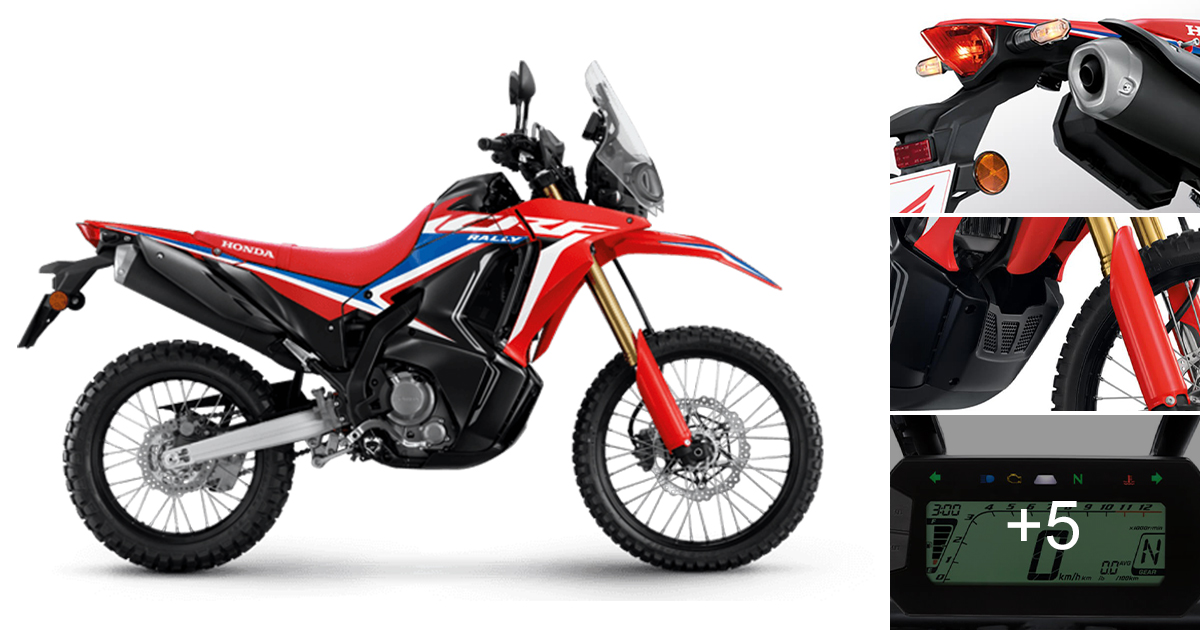 Honda Crf300rally 2025 สีใหม่ คลาสสิก สมชื่อ